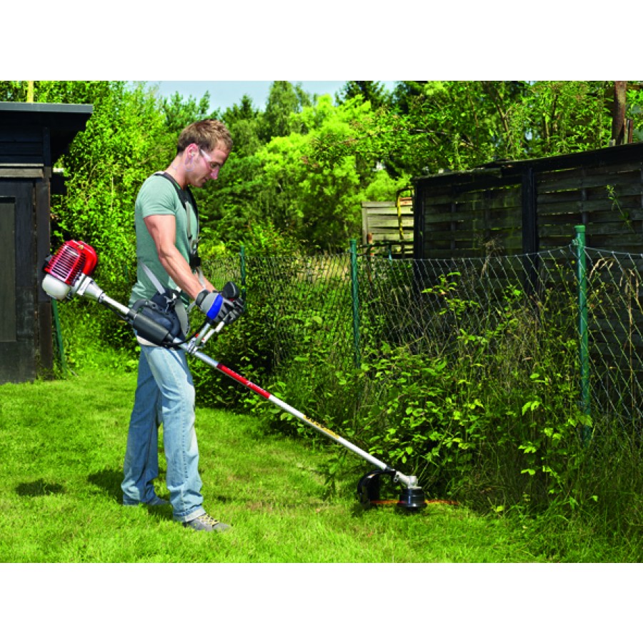 Débroussailler son jardin quand la nature a repris le dessus