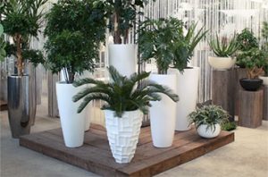 Décorez votre maison avec des plantes artificielles |